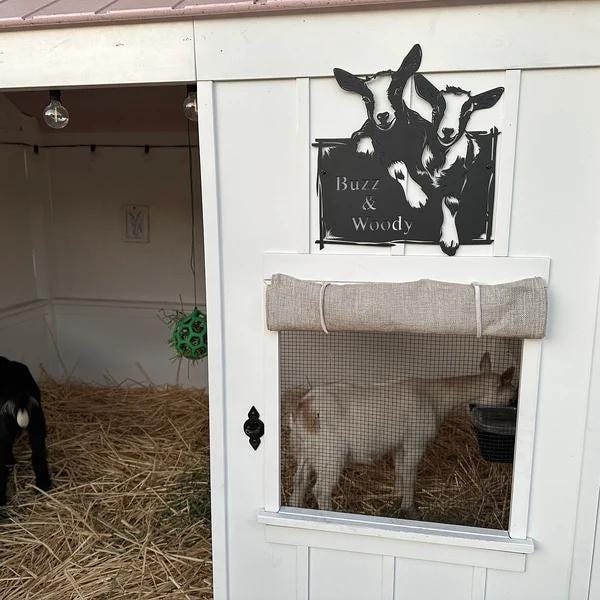 Nom personnalisé de ferme de chèvres en métal, art mural personnalisé de ferme de ranch de chèvres, nom de ferme de chèvre, décoration murale, cadeau de fermier, pendaison de crémaillère, pour papa