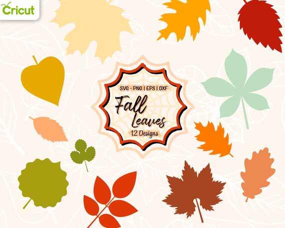 Fall Leaves Svg Fall Svg Fall Leaf Svg Bundle Fall Png - Etsy