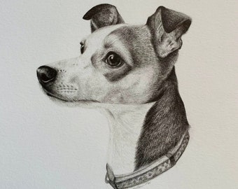 Custom Pencil Pet Portraits