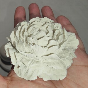 Può includere: Un fiore di ceramica bianca con un design plissettato dettagliato. Il fiore è realizzato in uno stile realistico, che ricorda una peonia.