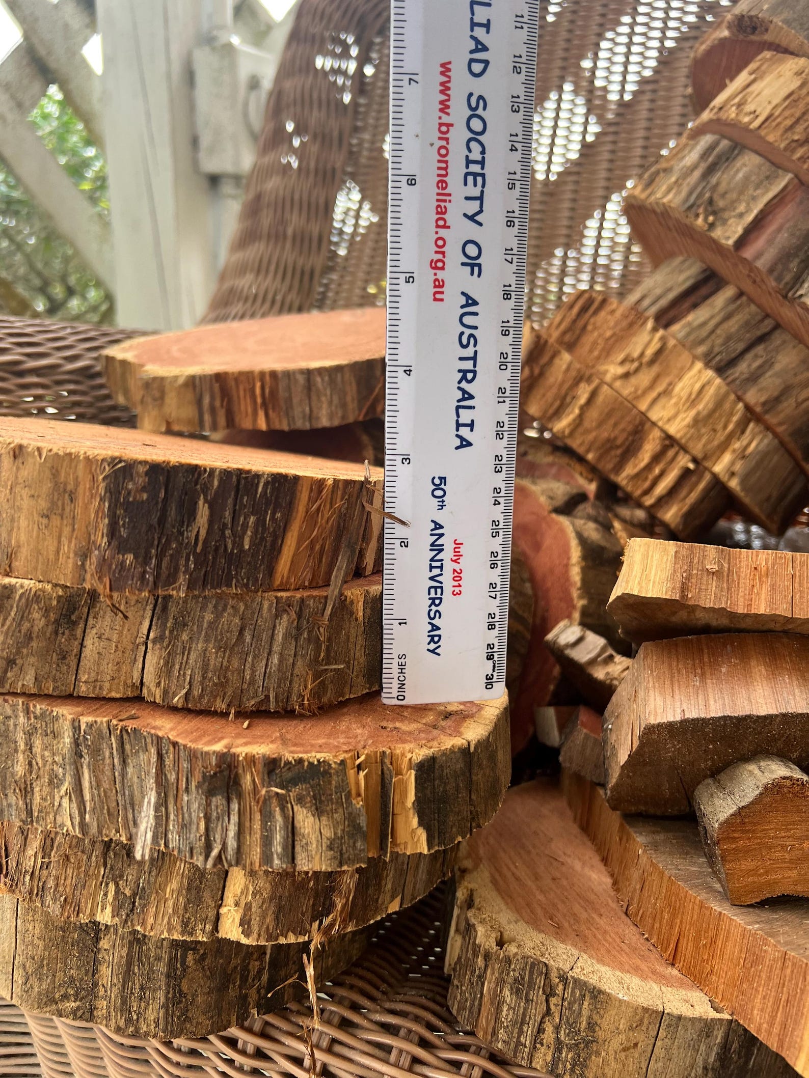 Maple Ridge Cedar Rounds BULK: Red Cedar Wood Round Slices, Craft, Plant Mount, Discounted - Etsy