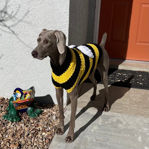 BOXER Tummy Warmer Fleece Sweater for Dogs Dog Jacket Dog Etsy