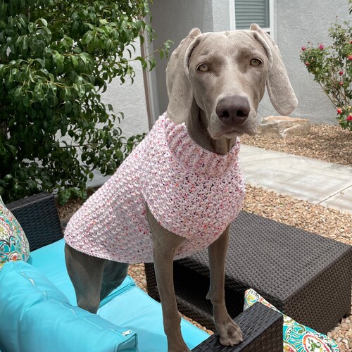 Dog Jumper Madetomeasure Dog Sweater Waffle Jersey Dog Etsy