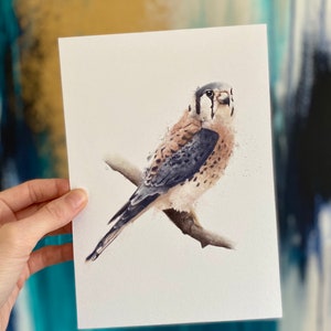 ポストカード A5 アート ミニプリント アメリカチョウゲンボウ 鳥 壁アート ポストカード フレーム付き 鳥のアートワーク 水彩画 ポストカード