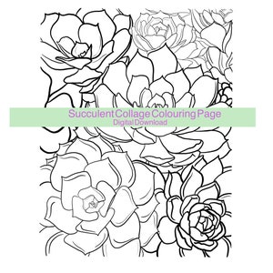 Succulent Collage Colouring Page - Digital Download