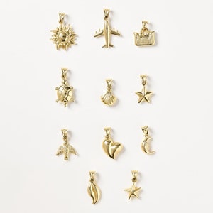 Könnte beinhalten: Ein Set mit 11 goldfarbenen Anhängern mit verschiedenen Designs, darunter eine Sonne, ein Flugzeug, ein Koffer, eine Schildkröte, eine Muschel, ein Stern, ein Vogel, ein Herz, eine Mondsichel, eine Flamme und ein Seestern.