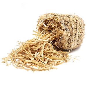 May include: A bundle of dried straw, tied with a mesh netting, is partially unraveled, revealing the loose straw fibers. The straw is a light brown color and has a natural, rustic appearance.
