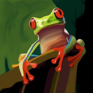 Red Eyed Tree Frog