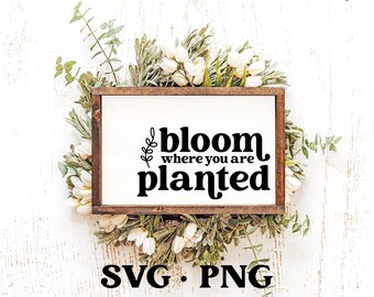 Bloom Where You Are Planted SVG | Inspirational Quote Svg | Motivational Gift Svg | Wood Sign Quote | Wall Decor | Gift For Friend Svg