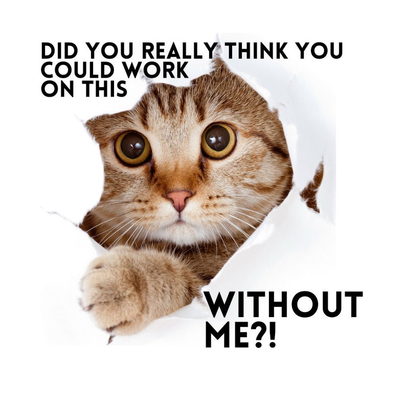 May include: A brown tabby cat with green eyes peeks through a hole in a white surface. The text "Did you really think you could work on this without me?" is written below the cat.