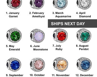 May include: Twelve silver charms, each featuring a different coloured gemstone and representing a month of the year. The charms are arranged in four rows of three, with the text 'SHIPS NEXT DAY' above the second row.