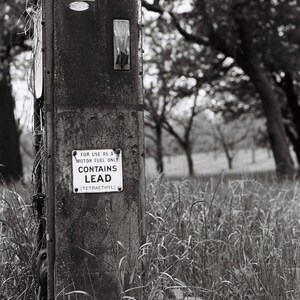 contains lead