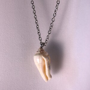 Mini Conch Necklace