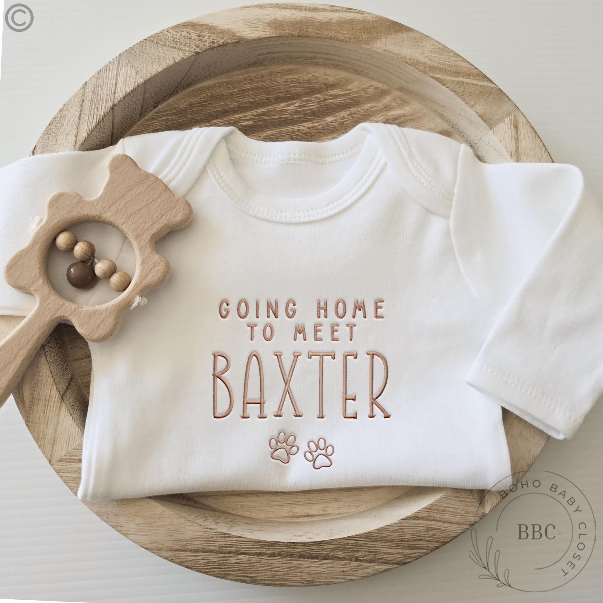 Baby Bodysuit BELLA CANVAS Going Home To Meet My Siblings Cat&Dogs...