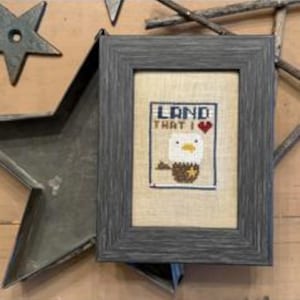 May include: A framed cross-stitch featuring an American bald eagle with the text "LAND THAT I ❤️". The frame is gray and rectangular. A metal star and other rustic decor surround the frame.