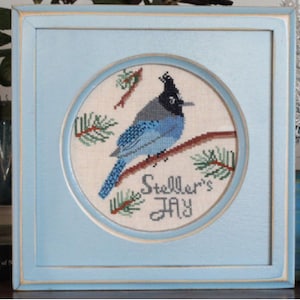 May include: A framed cross-stitch embroidery of a blue Steller's Jay bird perched on a branch with green pine needles. The embroidery is in a light blue frame with a white border.