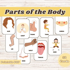 Parts of the Body, Body Parts for Kids, Human Body Preschool, Kids Anatomy, Science Printables, Elementary Science, Preschool Science