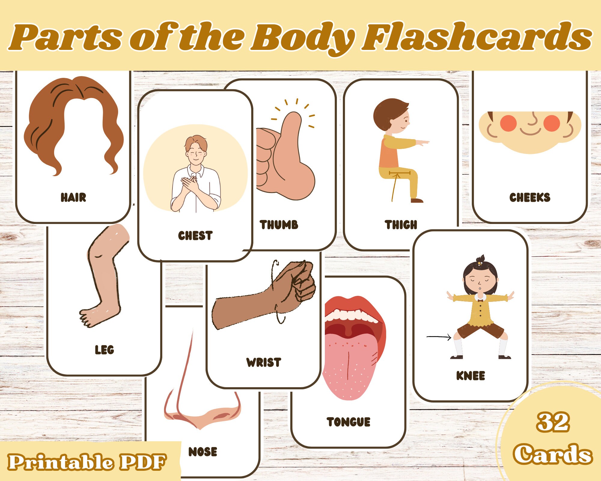 Parts of the Body, Body Parts for Kids, Human Body Preschool, Kids ...