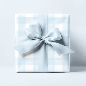 May include: A light blue gift box with a white gingham pattern and a large light blue satin bow.