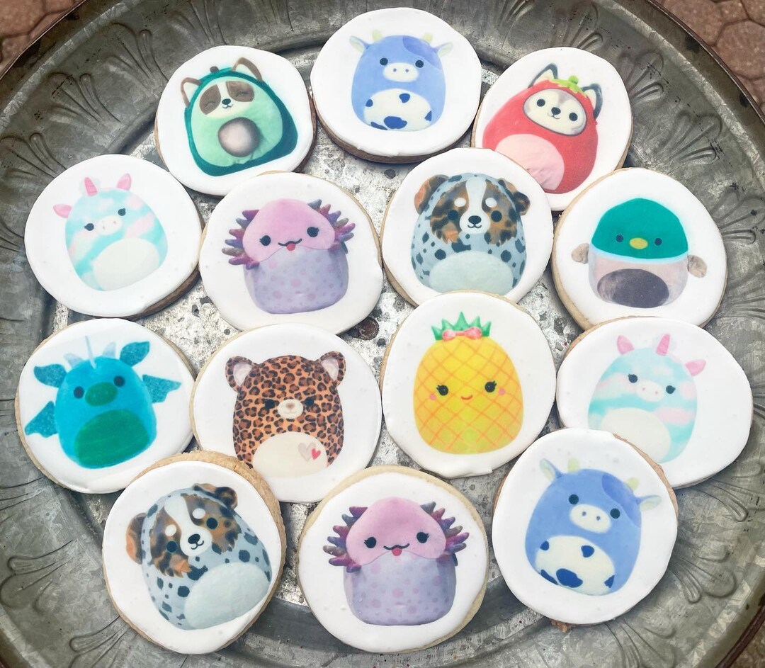 Squishmallow Cookies Etsy