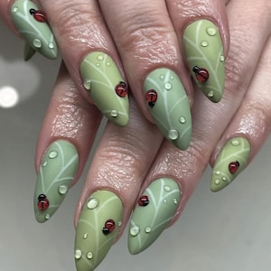 May include: Almond-shaped nail art featuring a light green leaf design with white veins and small red ladybugs. Clear water droplet accents add a realistic touch. The nails are a unique and artistic expression.