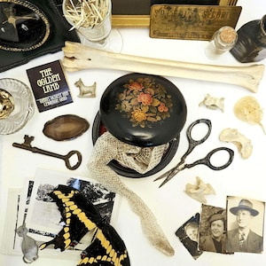 May include: An assortment of vintage items including a black round box with floral design, a butterfly, a key, a bone, and old photographs. The box is open, revealing a snakeskin. Other items include scissors and a small dog figurine.
