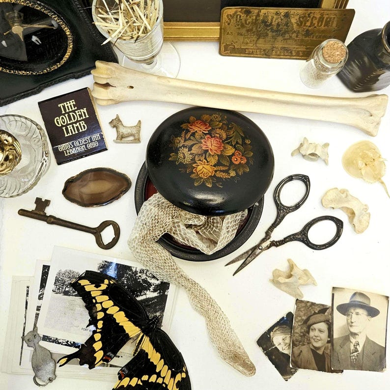 May include: An assortment of vintage items including a black round box with floral design, a butterfly, a key, a bone, and old photographs. The box is open, revealing a snakeskin. Other items include scissors and a small dog figurine.