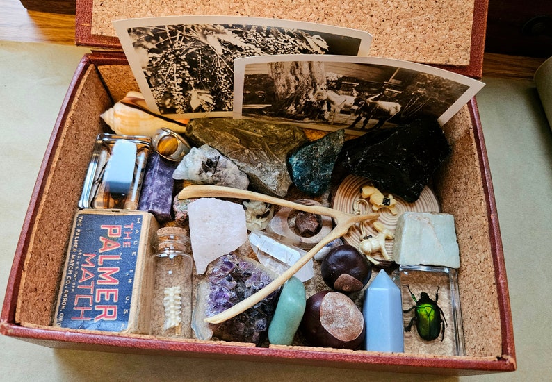 May include: A collection of natural and vintage items inside a small, open wooden box. The box contains rocks, shells, a matchbox with text, small glass bottles, a wishbone, and vintage photographs.
