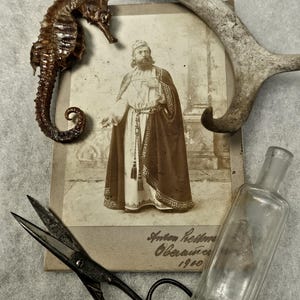 May include: An antique still life arrangement featuring a dried seahorse, a vintage photograph, a pair of scissors, a small glass bottle, and a piece of antler. The photograph has text that reads "Anton Rehm Oberammergau 1900."
