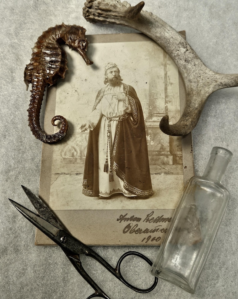 May include: An antique still life arrangement featuring a dried seahorse, a vintage photograph, a pair of scissors, a small glass bottle, and a piece of antler. The photograph has text that reads "Anton Rehm Oberammergau 1900."