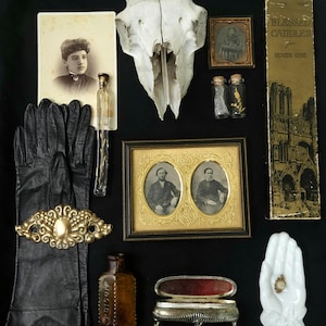 Cabinet of Curiosities Custom Mystery Box | Curated Natural Specimens & Unusual Vintage Oddities Collection image 5