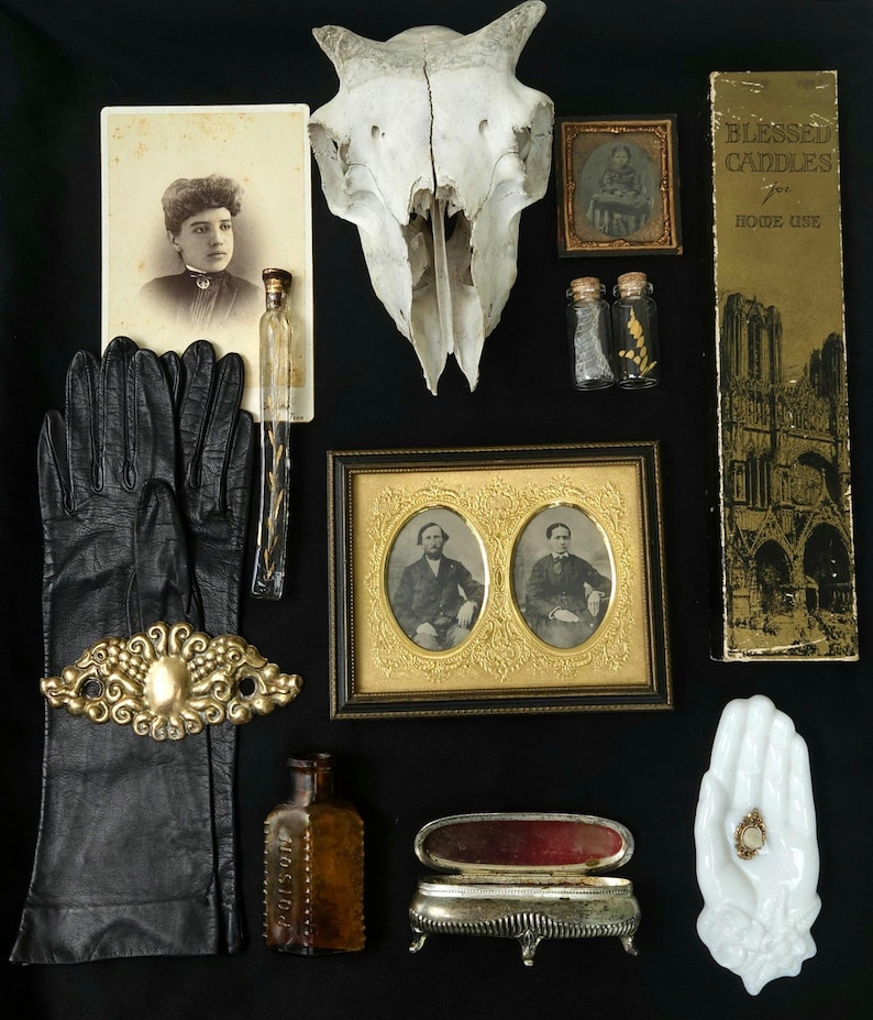 Cabinet of Curiosities Custom Mystery Box | Curated Natural Specimens & Unusual Vintage Oddities Collection image 5