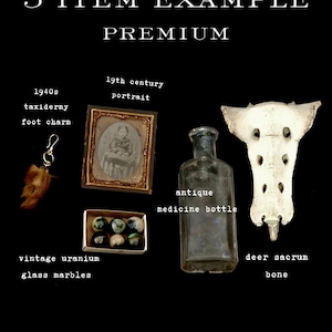 May include: An assortment of vintage items on a black background. Includes a 1940s taxidermy foot charm, a 19th-century portrait, an antique medicine bottle, a deer sacrum bone, and vintage uranium glass marbles.