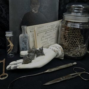 May include: A still-life arrangement featuring antique medical and apothecary items. Includes a glass jar with honeycomb, a vintage hand model, old documents, a small bottle, a key, and surgical tools. A vintage portrait is in the background.