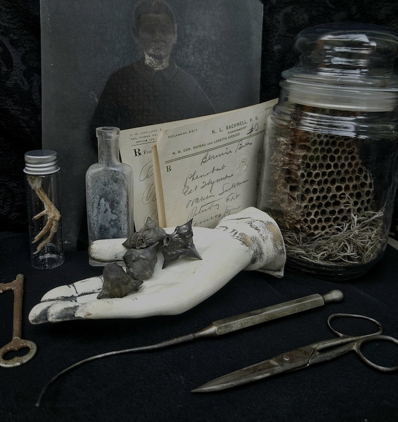 May include: A still-life arrangement featuring antique medical and apothecary items. Includes a glass jar with honeycomb, a vintage hand model, old documents, a small bottle, a key, and surgical tools. A vintage portrait is in the background.