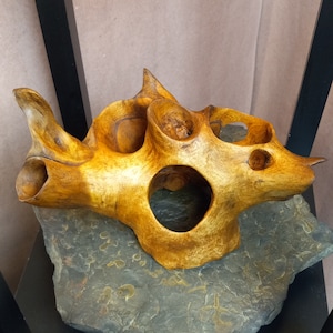 Sculpted Driftwood
