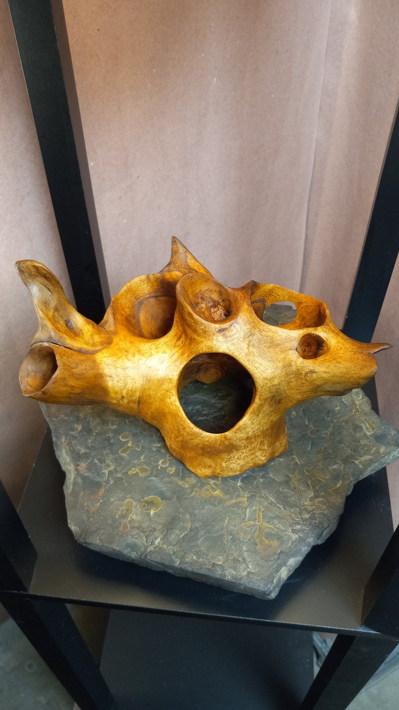 Puede incluir: Una escultura de madera con una forma org&aacute;nica &uacute;nica y m&uacute;ltiples agujeros. La escultura es de color marr&oacute;n claro y se encuentra sobre una base de piedra gris oscuro.