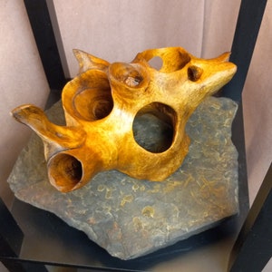 Puede incluir: Una escultura de madera con una forma org&aacute;nica &uacute;nica y m&uacute;ltiples agujeros. La escultura se exhibe sobre una base de piedra gris oscura.