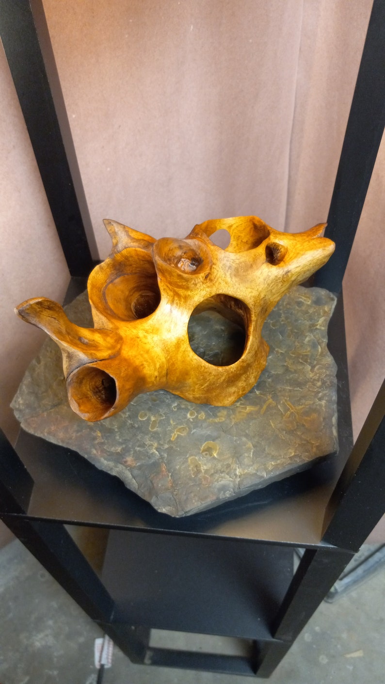 Puede incluir: Una escultura de madera con una forma org&aacute;nica &uacute;nica y m&uacute;ltiples agujeros. La escultura se exhibe sobre una base de piedra gris oscura.