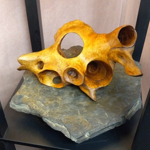 Puede incluir: Una escultura de madera de una concha marina con detalles intrincados y un acabado de madera natural. La escultura se muestra sobre una base de pizarra gris oscuro.