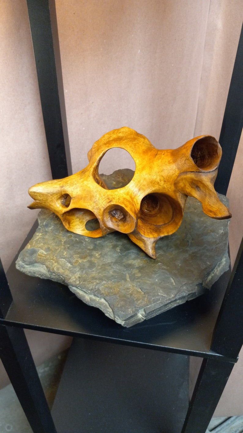 Puede incluir: Una escultura de madera de una concha marina con detalles intrincados y un acabado de madera natural. La escultura se muestra sobre una base de pizarra gris oscuro.