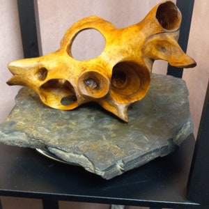 Puede incluir: Una escultura de madera de una concha marina con detalles intrincados y un acabado de madera natural. La escultura se exhibe sobre una base de pizarra gris oscuro.