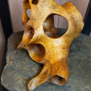 Puede incluir: Una escultura de madera con un dise&ntilde;o abstracto &uacute;nico. La escultura est&aacute; hecha de madera marr&oacute;n claro y tiene una serie de agujeros y curvas. Est&aacute; sentada sobre una base de piedra gris oscuro.