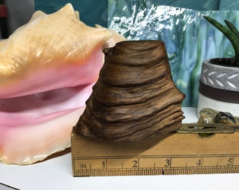 Arte de madera flotante, nudo antiguo