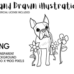 Boston Terrier PNG, HAND DRAWN Spring Instant Digital Download, Cartoon Dog Line Art Clipart, Transparent Background Puppy Illustration