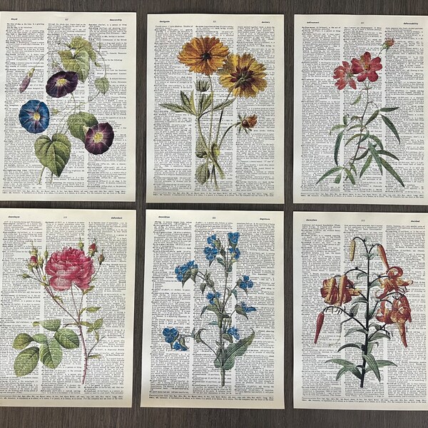 Botanical Flowers Themed Dictionary Art Prints - Set of 6