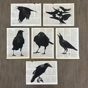 Raven/Crow Themed Dictionary Print Art #3 - Set of 6