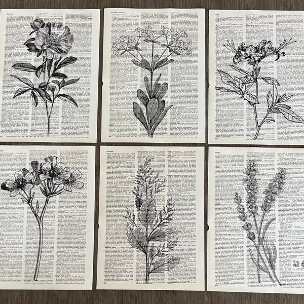 Flower Themed Dictionary Art Prints - Set of 6