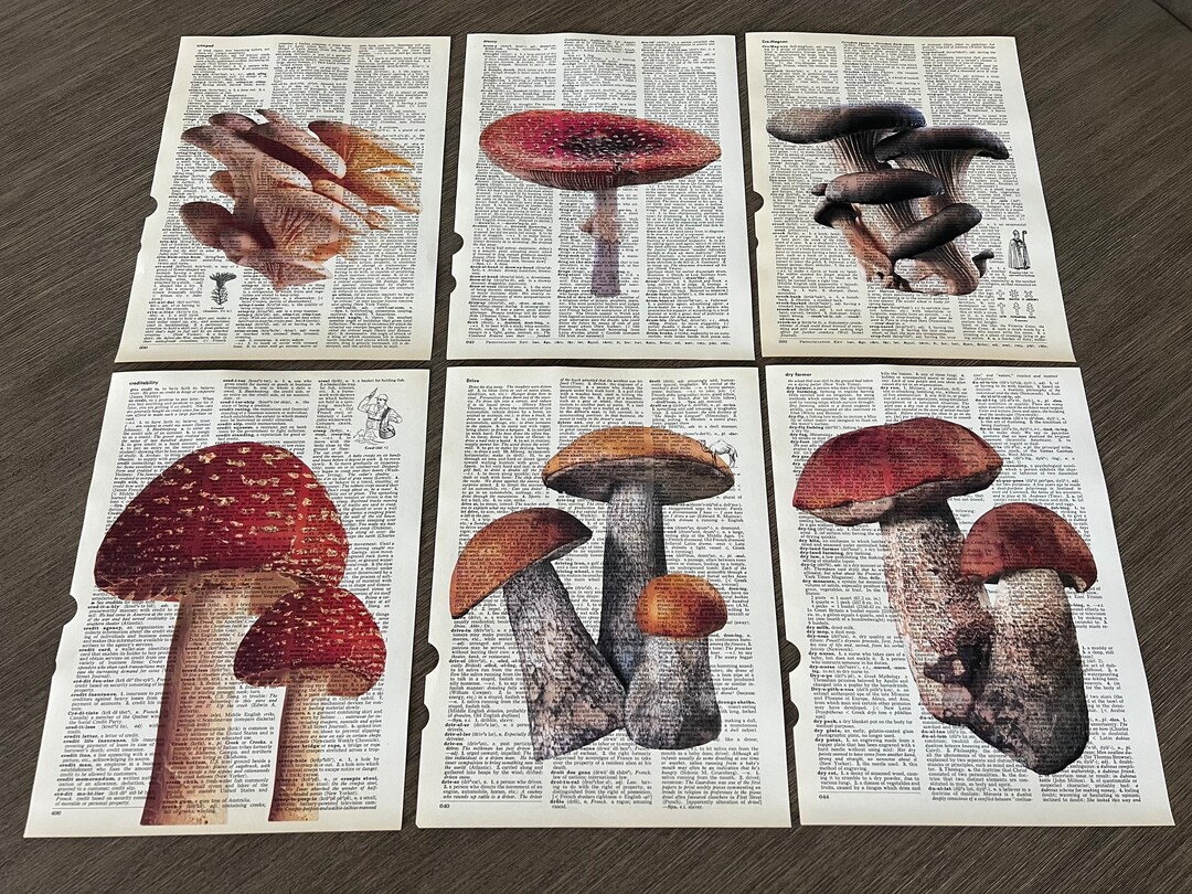 Mushroom Themed Dictionary Prints Set of 6 Etsy