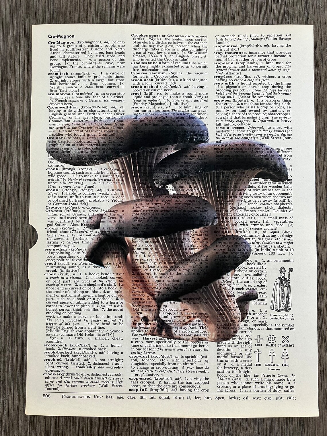 Mushroom Themed Dictionary Prints Set of 6 Etsy